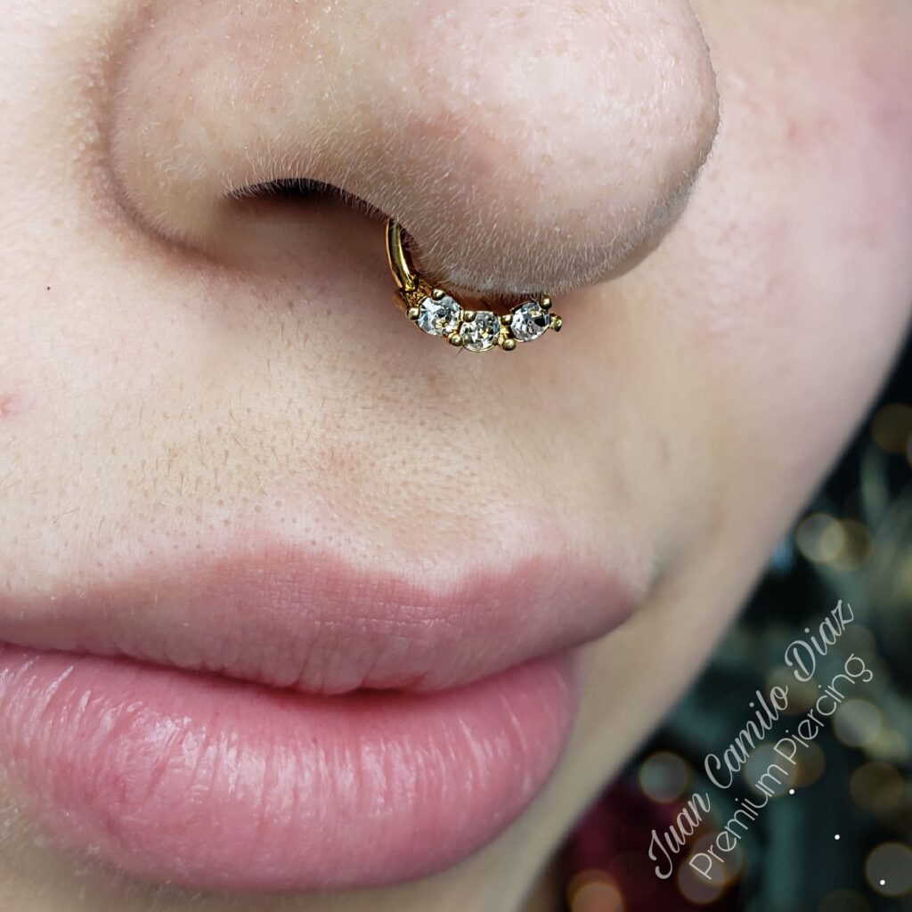 Septum Piercing
CLICKER CRISTAL