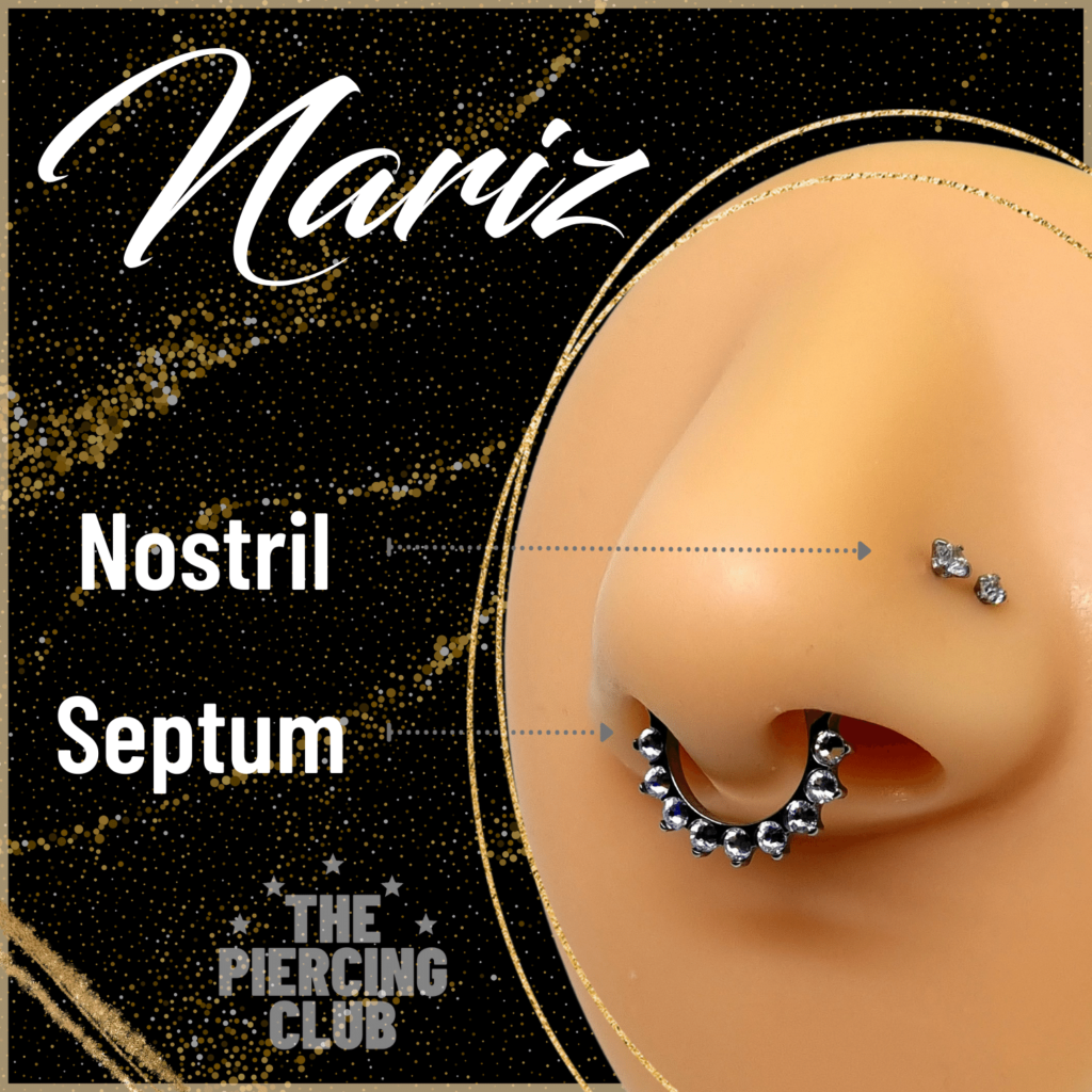 Nombre perforaciones de nariz